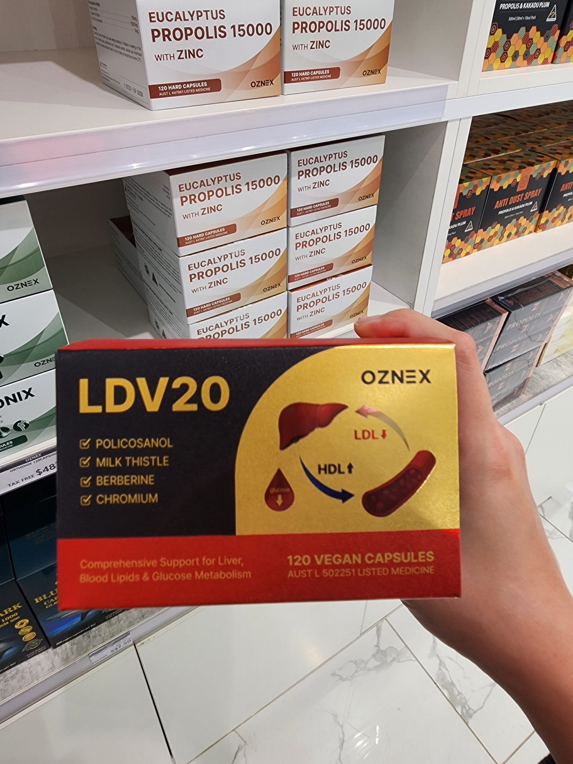 LDV20 부모님 선물