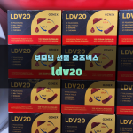 부모님 선물 오즈넥스 ldv20로 좋은 아이템 추천