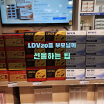 LDV20을 부모님께 선물하는 팁