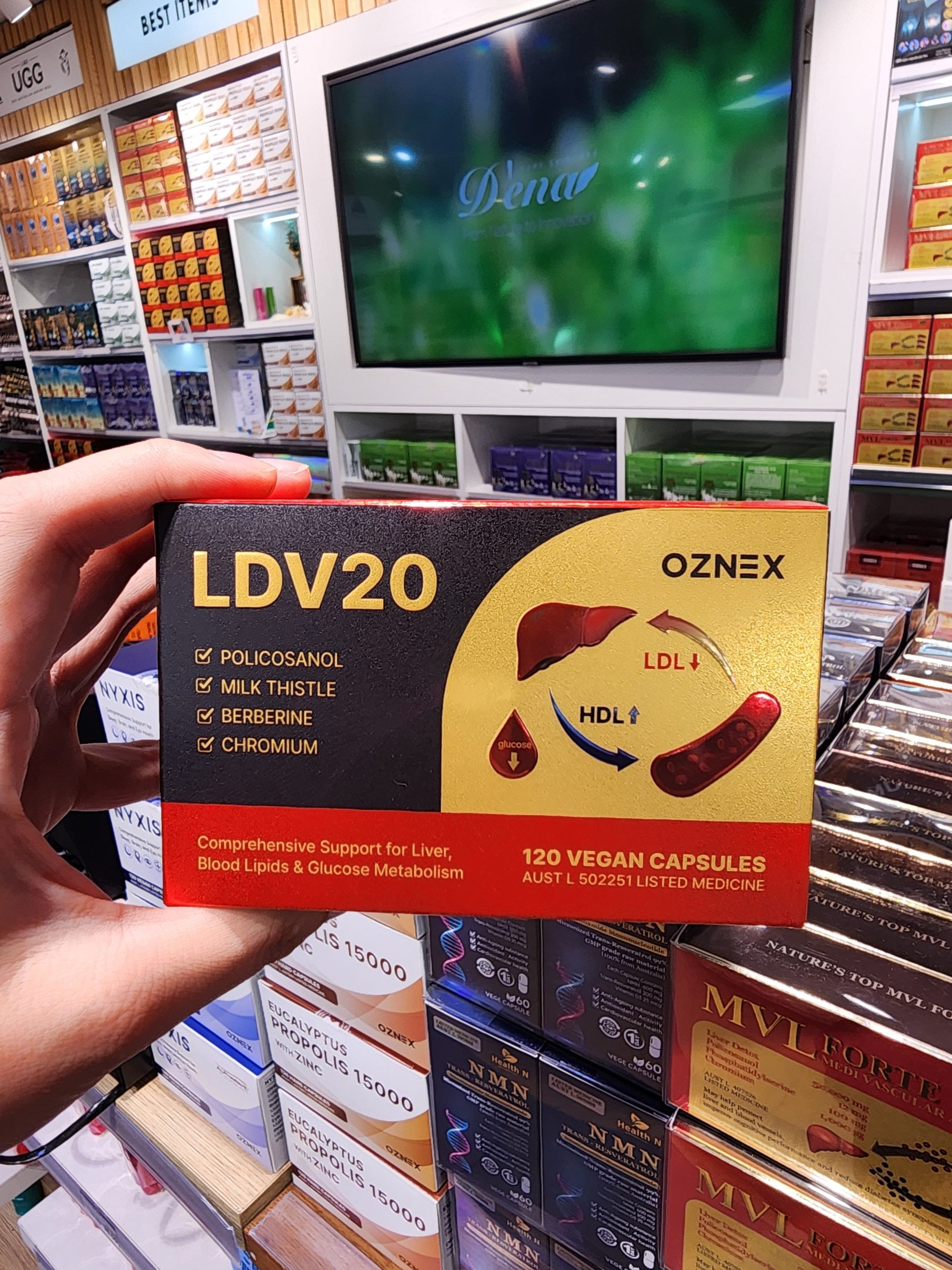 LDV20 부모님 선물